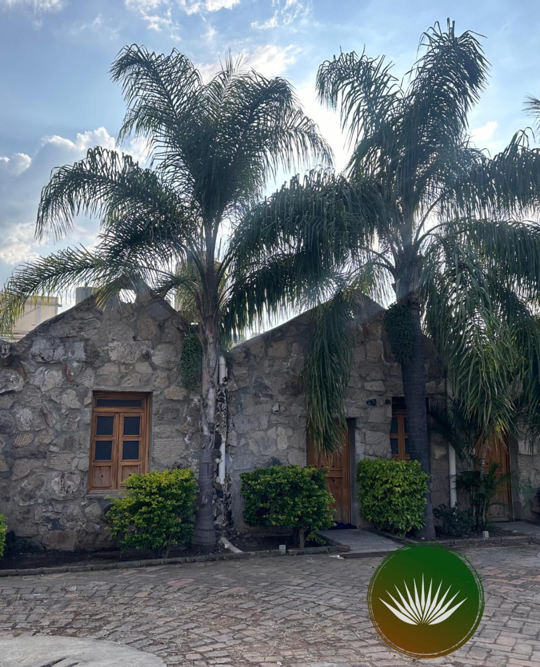 Terraza Monteagave Hotel Tequila Exterior photo
